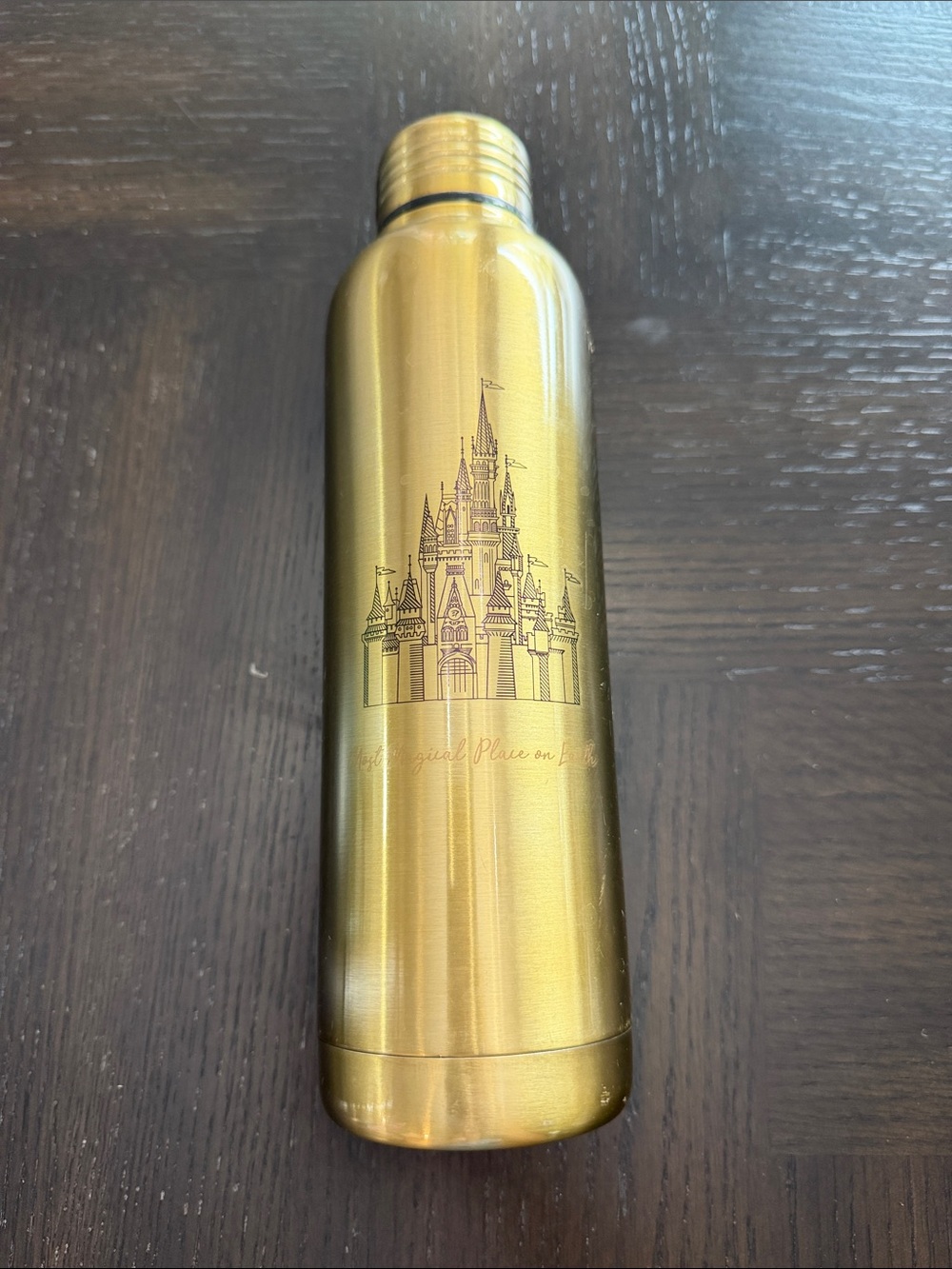 Disney World Gold Stainless Steel Water Bottle with Castle Graphic